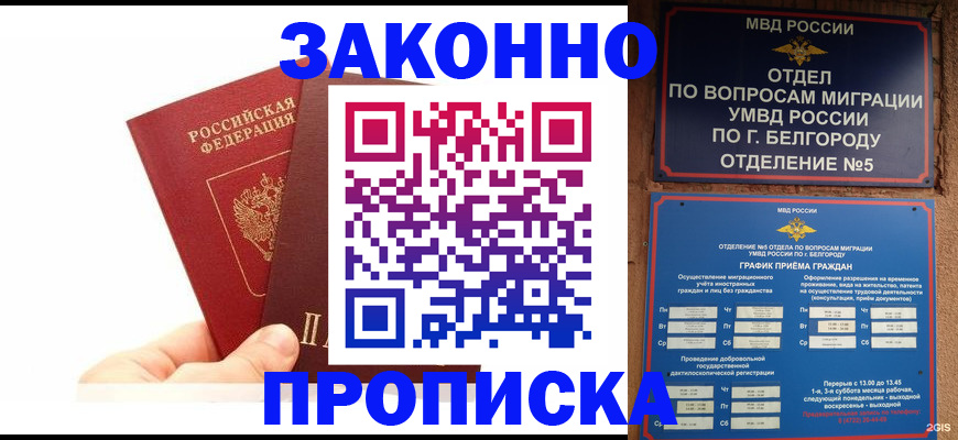 временная регистрация для школы в Чудово